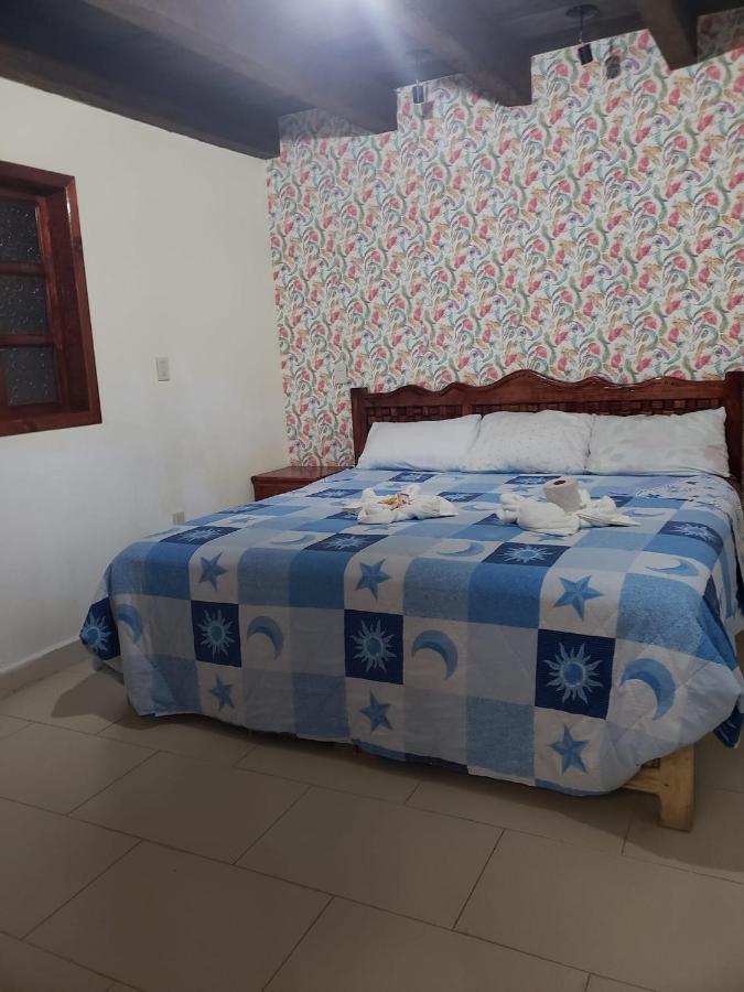 Hotel Arcos Del Carmen San Cristóbal de Las Casas Dış mekan fotoğraf